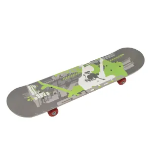 GlideTech Pro Skating Board