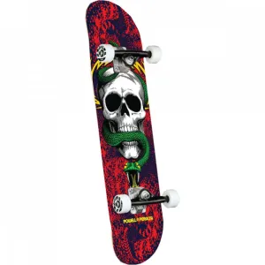 Powell Peralta Skull And Snake 7.75" Red/Navy Skateboard