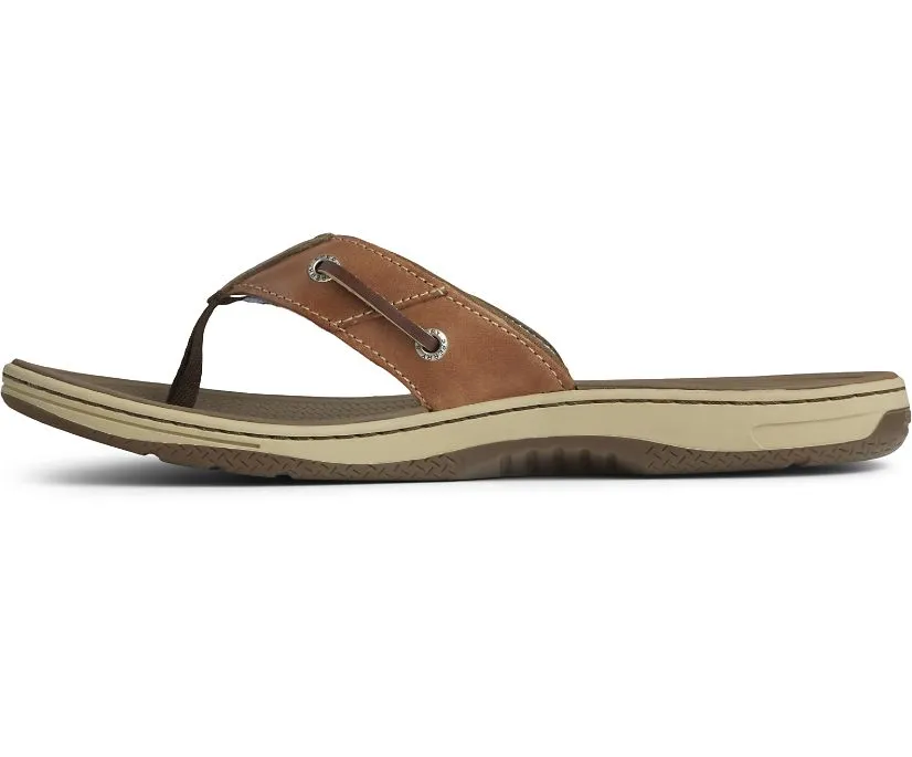 Sperry Men's Baitfish