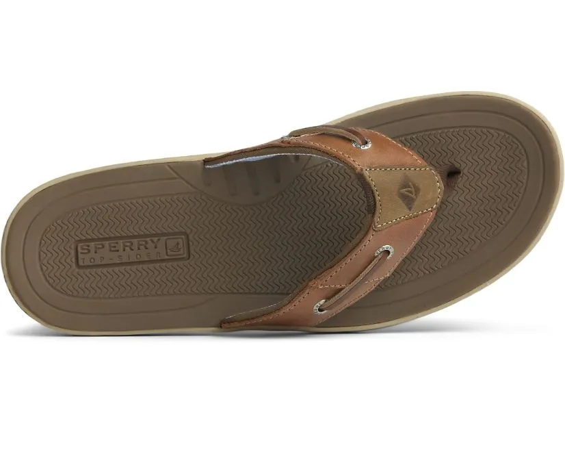 Sperry Men's Baitfish