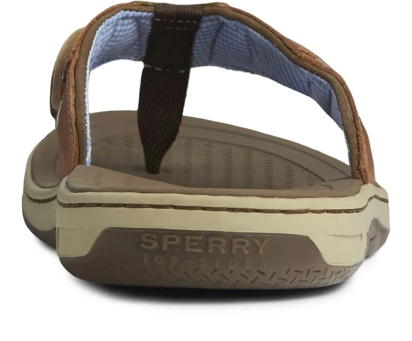 Sperry Men's Baitfish